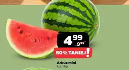 Netto Arbuz mini oferta