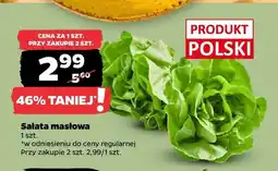 Netto Sałata masłowa polska oferta