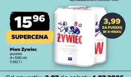 Netto Piwo Żywiec Premium 4-pak oferta