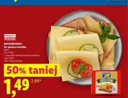 Lidl Ser gouda w kawałku Michowianka oferta