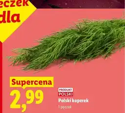 Lidl Koperek polski oferta