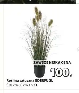 JYSK Roślina sztuczna Ederfugl oferta