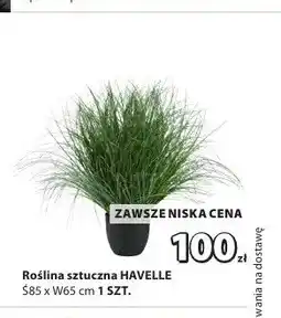 JYSK Roślina sztuczna Havelle oferta