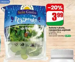 Dino Salata rukola roszponka szpinak oferta