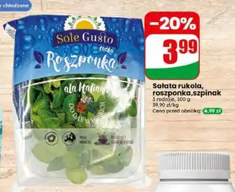 Dino Salata rukola roszponka szpinak oferta