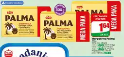 Dino MARGARYNA PALMA oferta