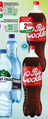 Dino Polo Cocta Zbyszko oferta