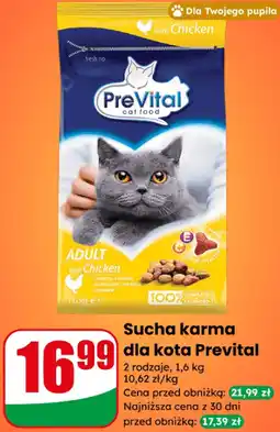 Dino Sucha karma dla kota Prevital oferta