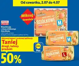 Lidl Złota Nioska Wszystkie jaja z chowu ściółkowego oferta