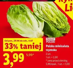 Lidl Polska minisałata rzymska oferta