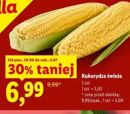 Lidl Kukurydza świeża oferta