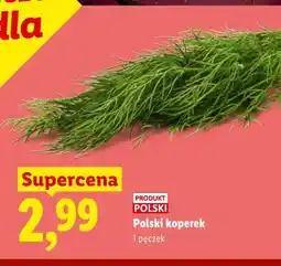 Lidl Polski koperek oferta