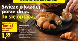 Lidl Rogal maślany oferta