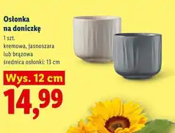 Lidl Osłonka na doniczkę oferta