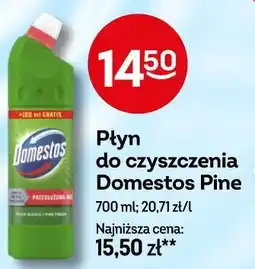 Żabka Płyn do czyszczenia Domestos Pine oferta