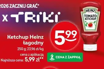 Żabka Ketchup Heinz łagodny oferta