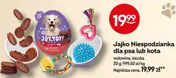 Żabka Joy Toy Jajko Niespodzianka dla psa lub kota oferta