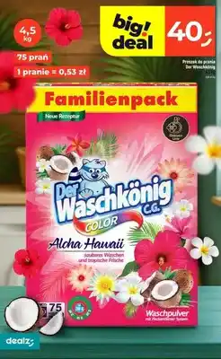 Dealz Proszek do prania Der Waschkönig Color Aloha Hawaii oferta