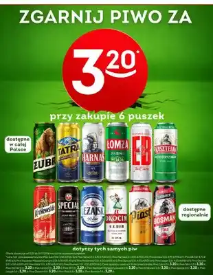 Żabka Piwo Żubr oferta