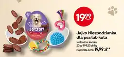 Żabka Jajko Niespodzianka dla psa lub kota wołowina JoyToy! oferta