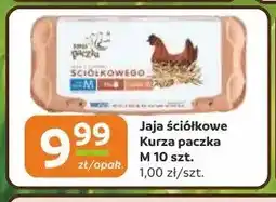 Gama Jaja ściółkowe Kurza paczka M oferta