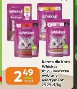 Gama Karma dla kota Whiskas z kurczakiem oferta
