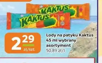 Gama Lody na patyku Kaktus oferta