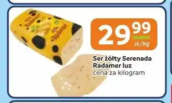 Gama Ser żółty Serenada Radamer luz oferta