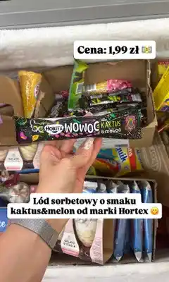 Dino Lód sorbetowy Hortex Wowoc kaktus & melon oferta