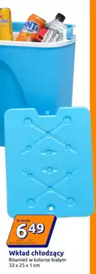 Action Wkład chłodzący 33x25x1 cm oferta