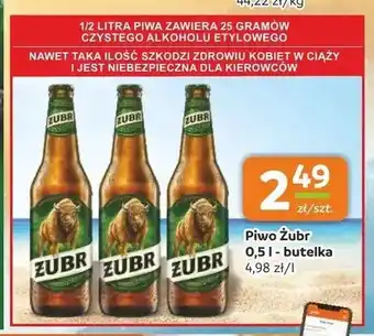 Gama Piwo Żubr oferta