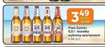 Gama Piwo Żywiec oferta