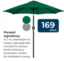 Mrówka Parasol ogrodowy oferta