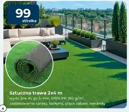 Mrówka Sztuczna trawa oferta