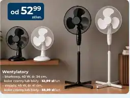 Mrówka Wentylatory oferta