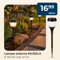 Mrówka Lampa solarna MUSZLA oferta