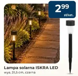 Mrówka Lampa solarna ISKRA LED oferta