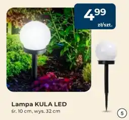 Mrówka Lampa Kula Led oferta