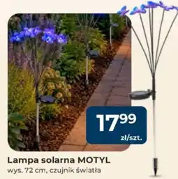 Mrówka Lampa solarna MOTYŁ oferta