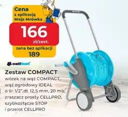 Mrówka Zestaw COMPACT oferta