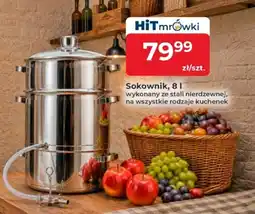 Mrówka Sokownik oferta