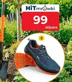 Mrówka Buty robocze oferta