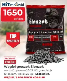 Mrówka Węgiel groszek Ślonszok oferta
