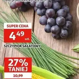 Auchan Szczypior sałatowy oferta