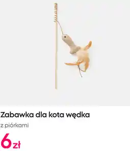 Pepco Pepco Zabawka dla kota wędka z piórkami oferta