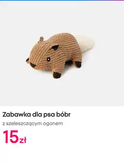 Pepco Zabawka dla psa bóbr z szeleszczącym ogonem oferta