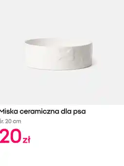 Pepco Miska ceramiczna dla psa oferta