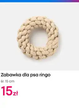 Pepco Zabawka dla psa ringo oferta