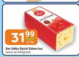 Gama Ser Ryki oferta