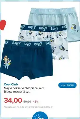 Majtki bokserki chłopięce Cool Club Bluey 3-pak